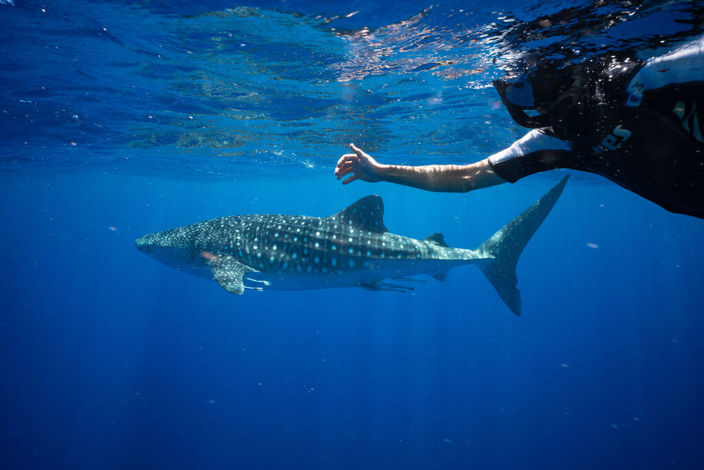 a893257b-751c-48ac-a16b-e0bfeec4194d