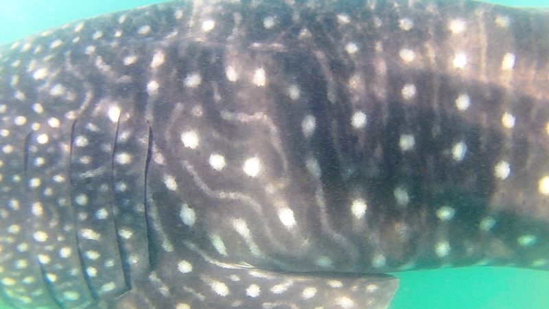 7a92b833-f43b-4a35-b563-20a487bd1f1a