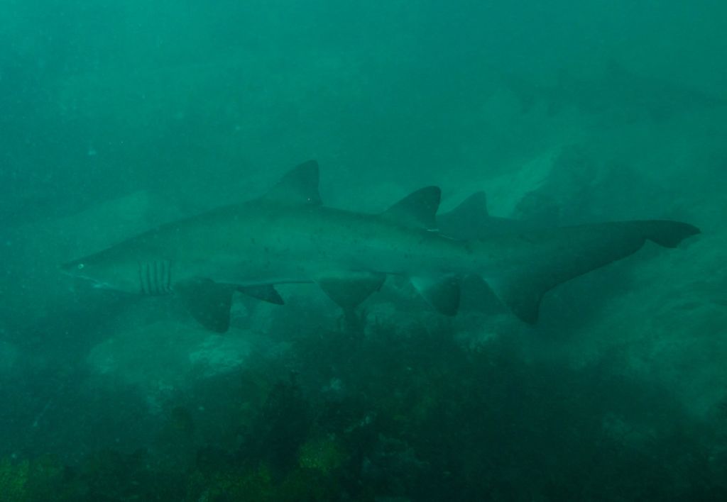 7f59ff33-9eda-4143-b425-503e1f7e8a76