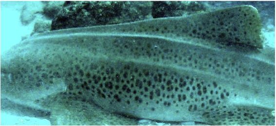 c01b04ad-2334-44d7-86de-48d872a2e0d9