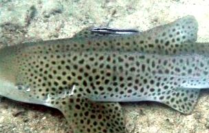 d72118e8-9bdf-4b24-aff4-7bb359195e8c