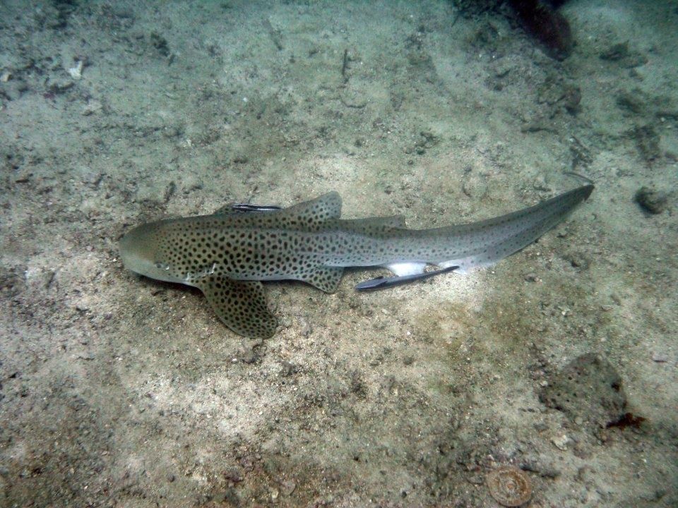 d72118e8-9bdf-4b24-aff4-7bb359195e8c