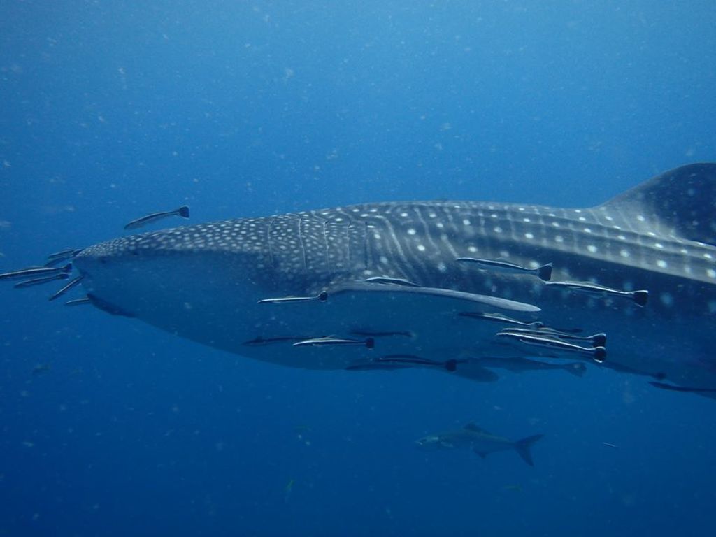 8ff9c1c0-17e7-4726-a753-7839c1a32baa