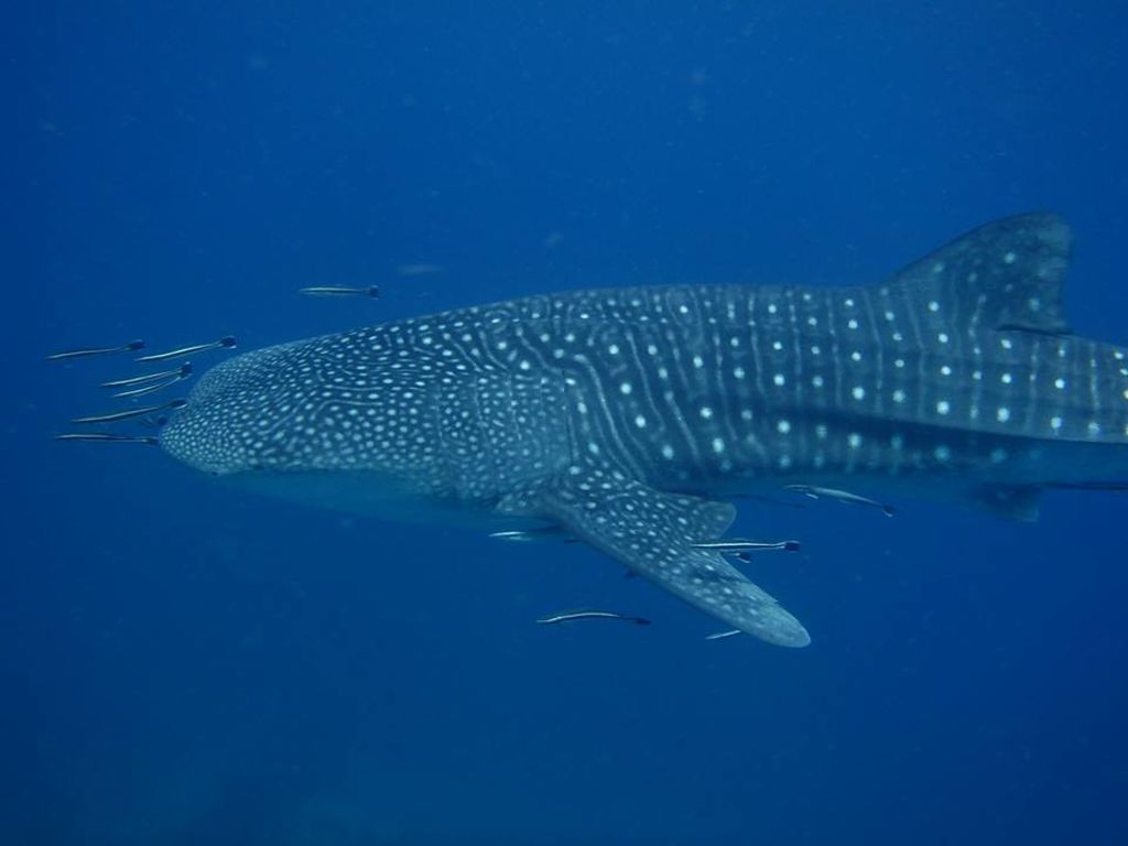 8ff9c1c0-17e7-4726-a753-7839c1a32baa