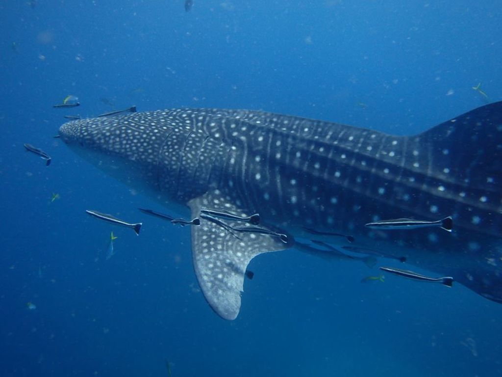 8ff9c1c0-17e7-4726-a753-7839c1a32baa