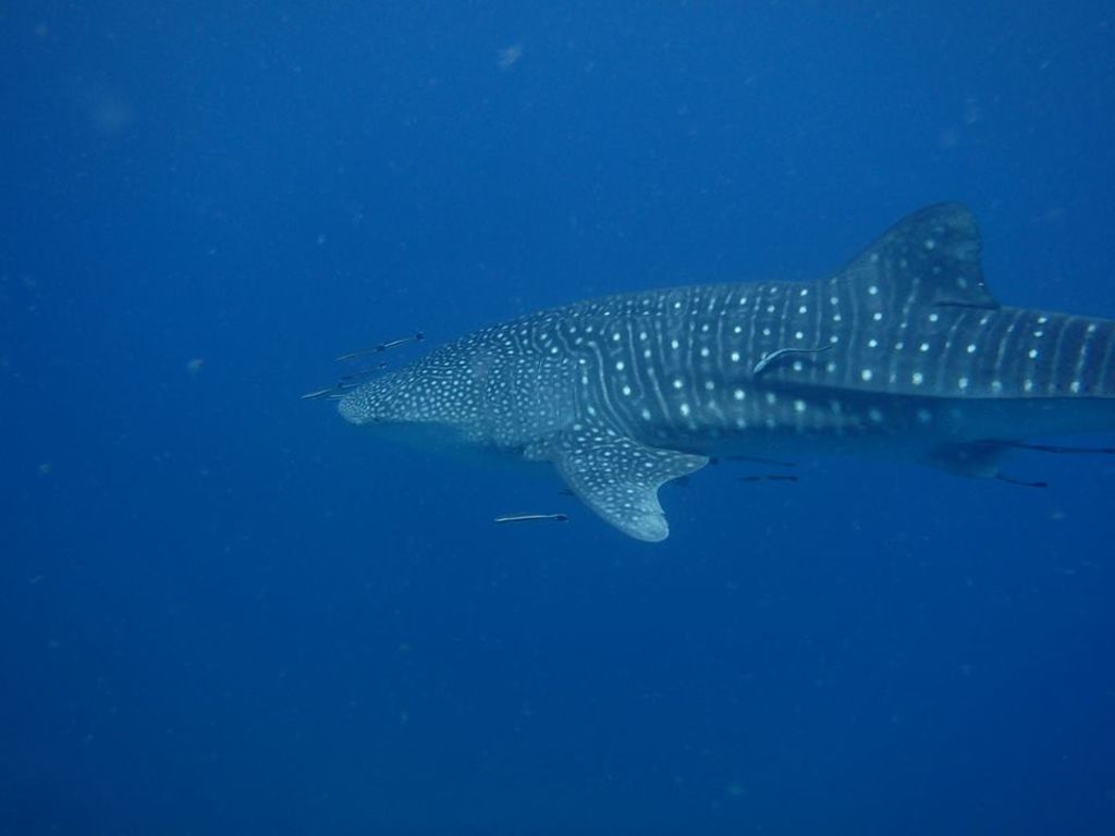 8ff9c1c0-17e7-4726-a753-7839c1a32baa