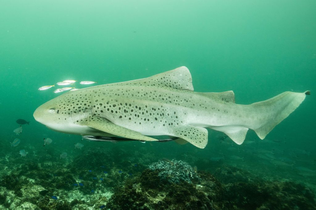 0d1bdc40-0636-42d7-9083-7dbee081271f