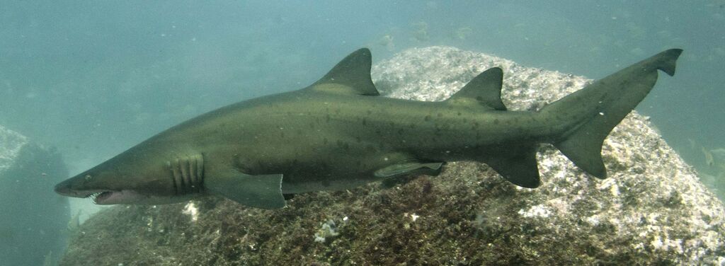 c4ffefaf-4cbb-4d88-9dd4-26b245b21813