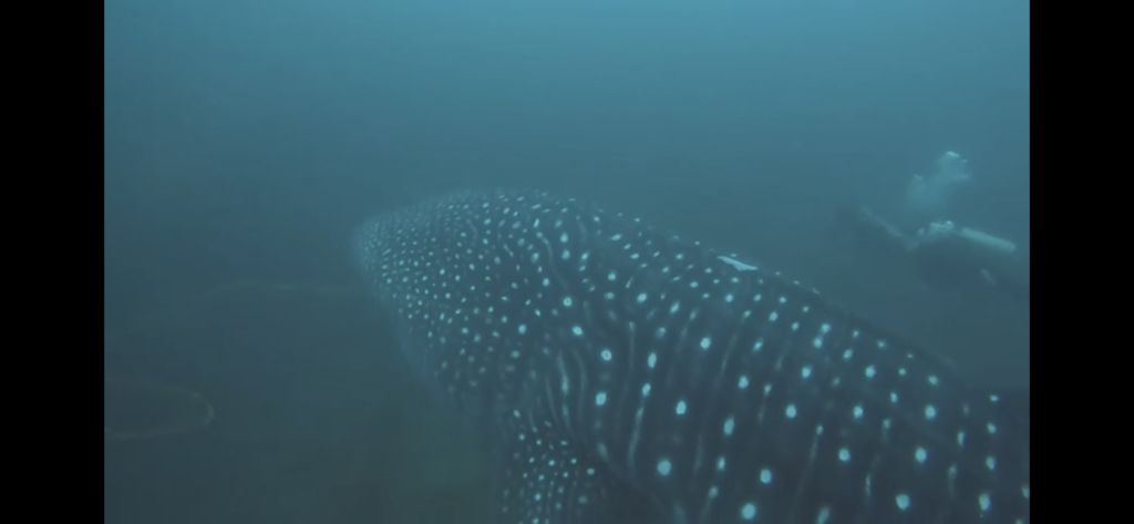 8b775038-c59f-418e-8249-6a68d7cf7191