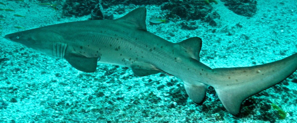 22e7dd25-2354-469b-9bb2-5d40d49fca8e