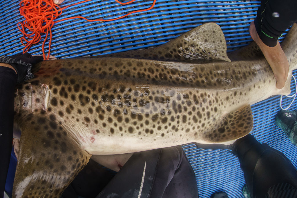 71d49ab9-c9e5-4a59-ab7a-79360b4d2a40