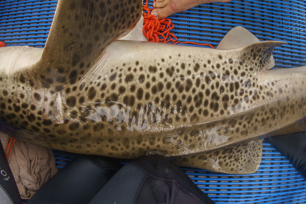 71d49ab9-c9e5-4a59-ab7a-79360b4d2a40