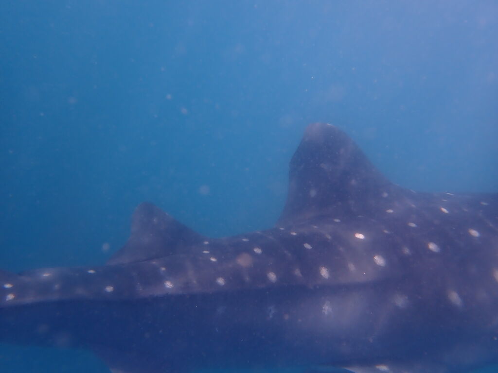 ca3d767b-adfb-43f5-be24-30a27dd89cd1