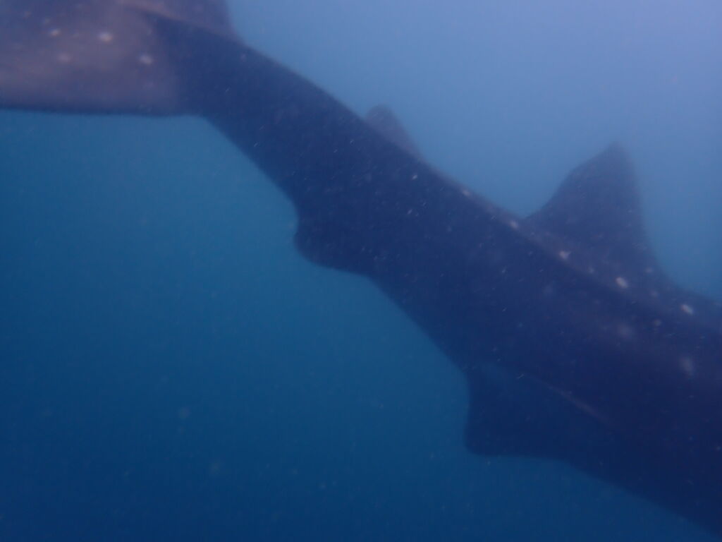 ca3d767b-adfb-43f5-be24-30a27dd89cd1