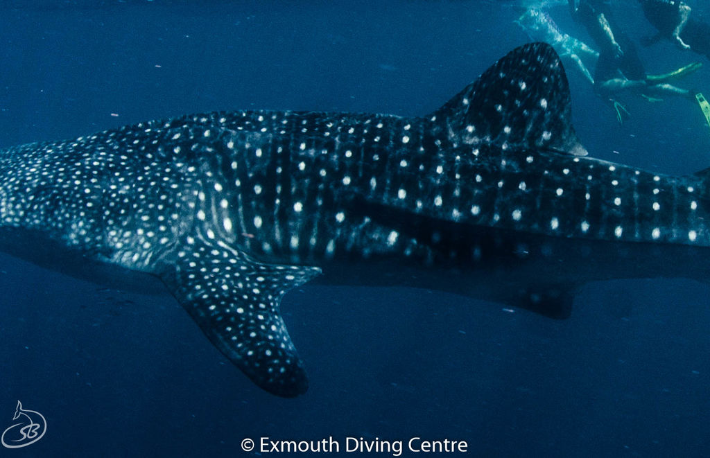 03d043a4-eb84-4b61-aac9-c77f42358f20