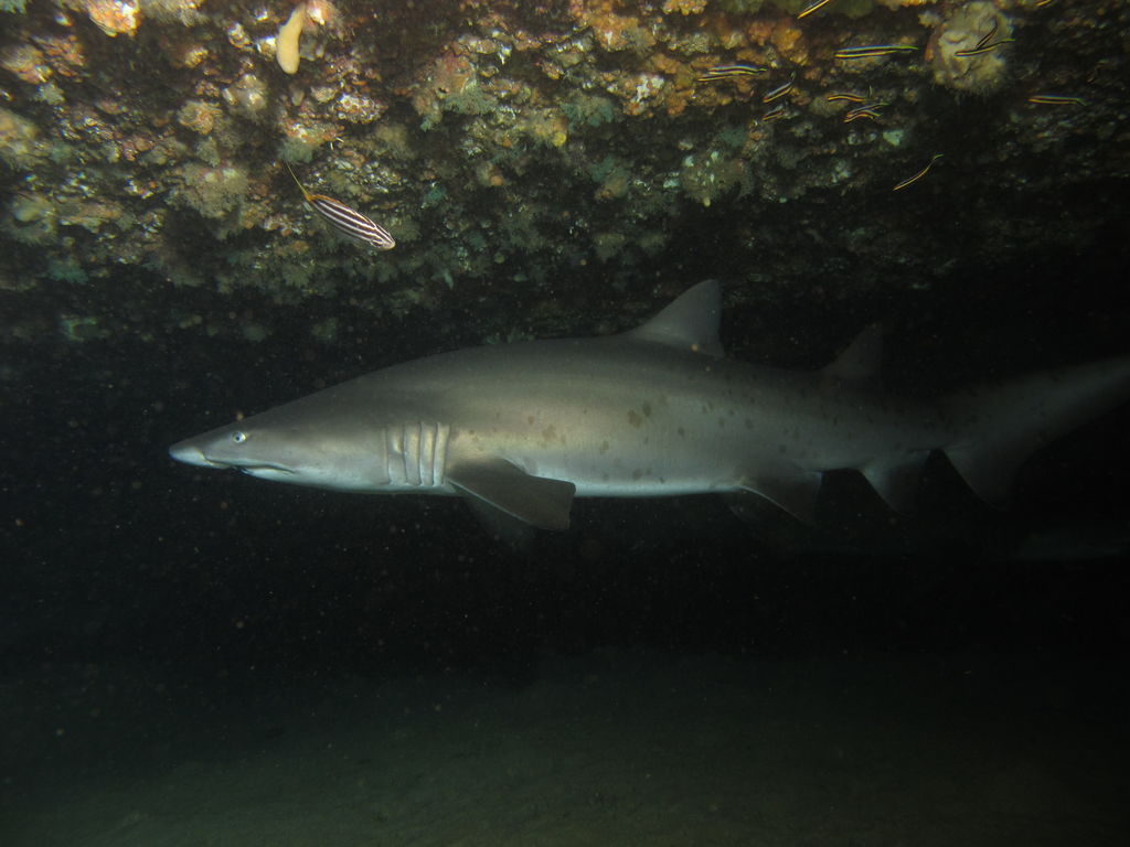 5c7057e3-a04f-4c78-a0bd-1f23b056325d