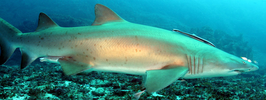 72cf8bbb-2cac-4fa4-a14d-103cd0feea38