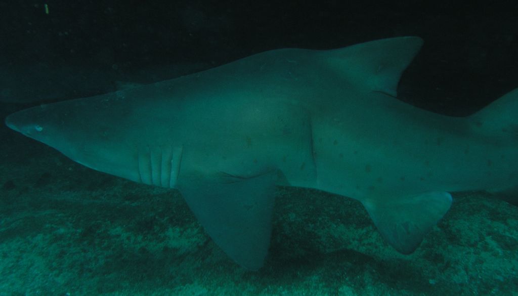 3e672358-6152-4b55-8bdd-aa331df145c1