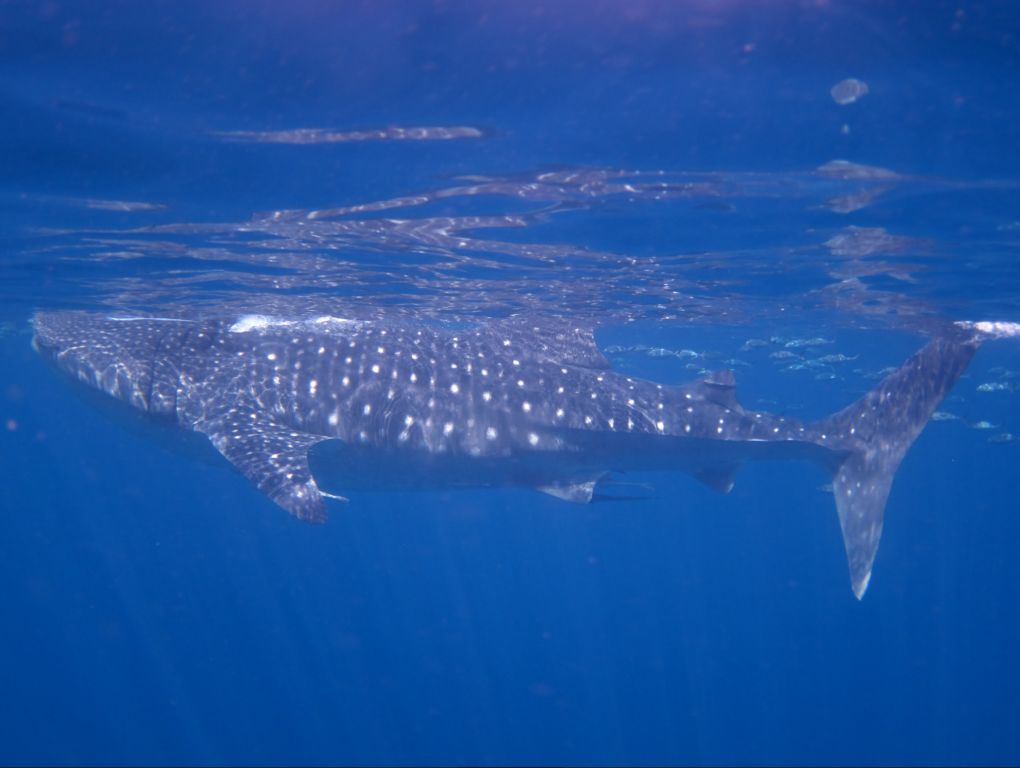 69463e01-a91b-4566-8712-b0bc245fafbc