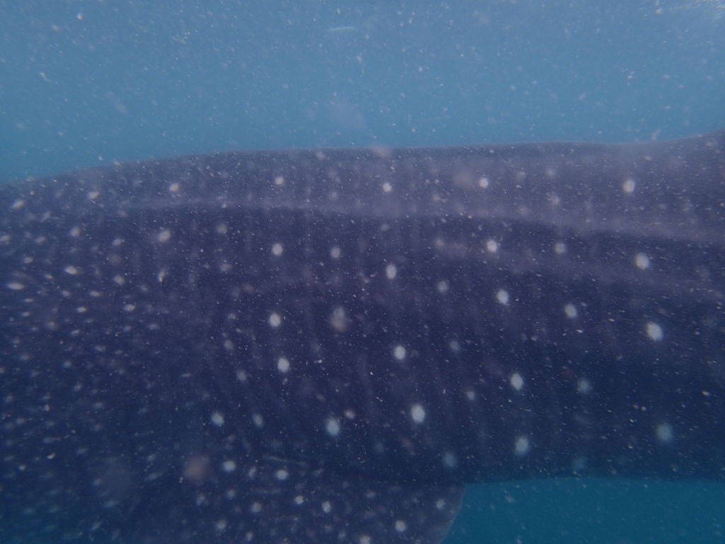 794a10ae-be97-444e-a513-d6b17e46b6ab