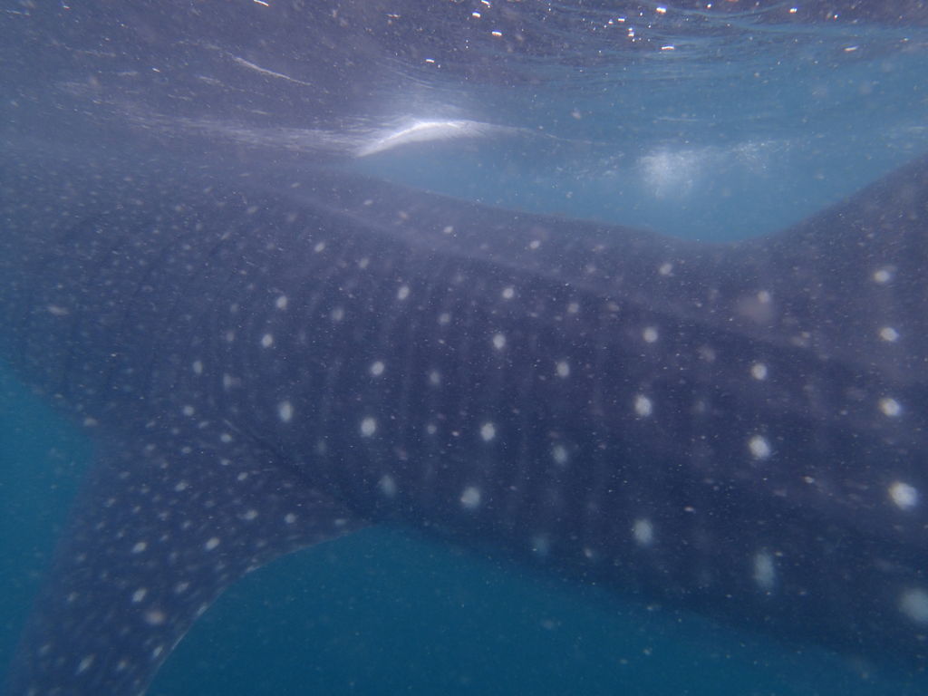 794a10ae-be97-444e-a513-d6b17e46b6ab