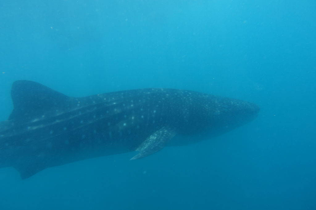 2ae195fd-51cd-44a9-b9af-f5e87bd9d0b0