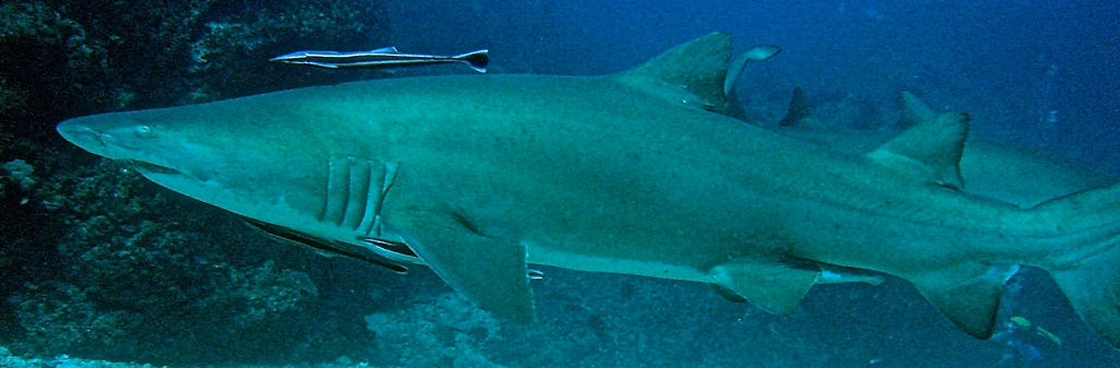 170526dd-8038-4bd6-876c-ea42a45aba53