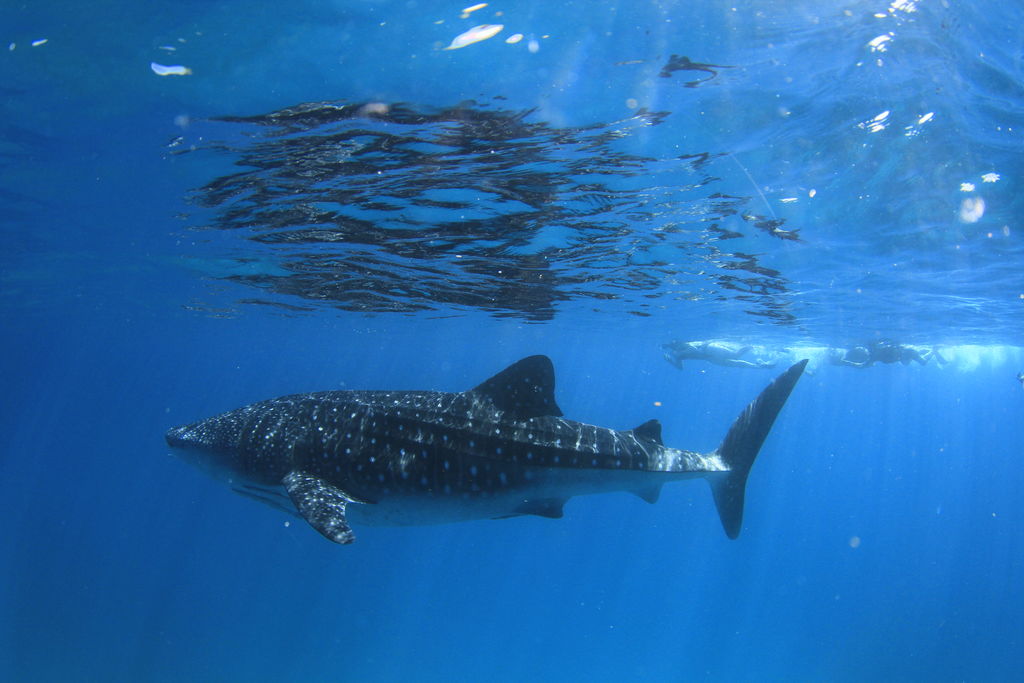 2cb04693-ef7a-4575-8b8b-8437e4658130