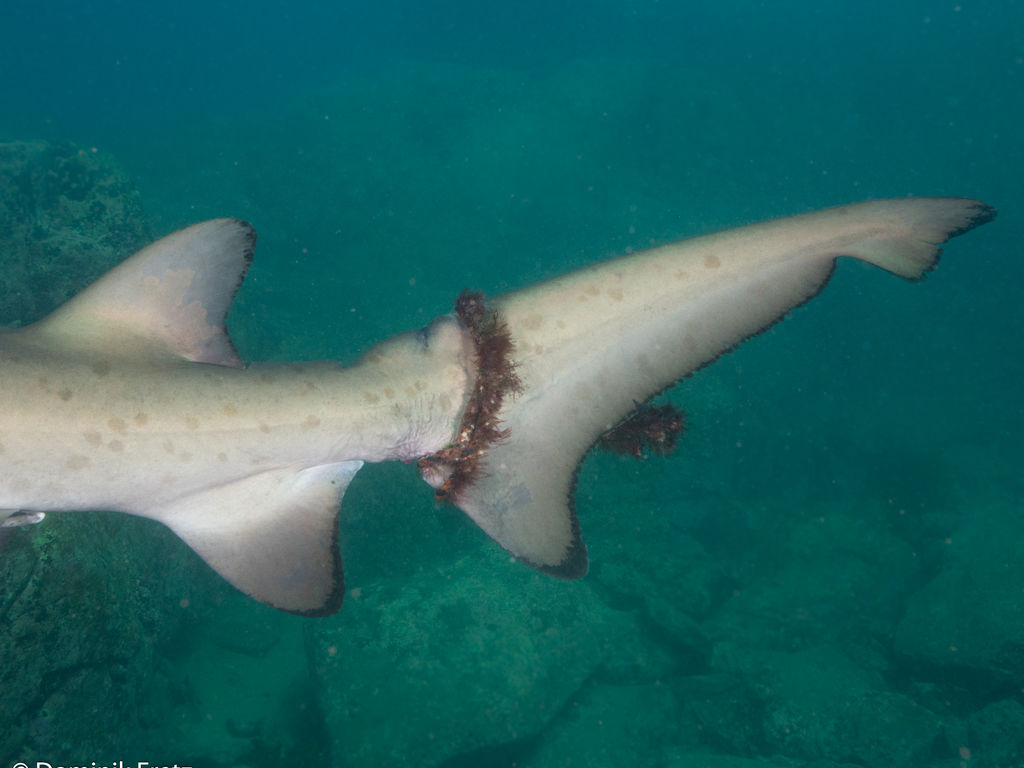 86ca6564-4c6a-40ff-9045-974d74225573