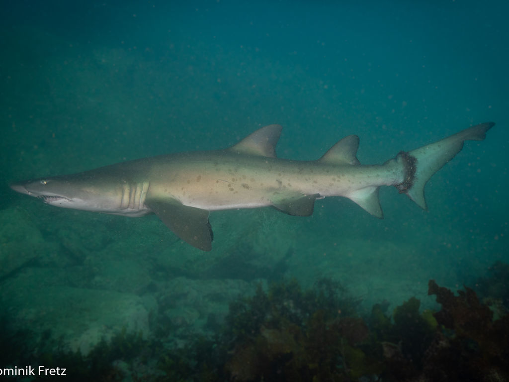 86ca6564-4c6a-40ff-9045-974d74225573