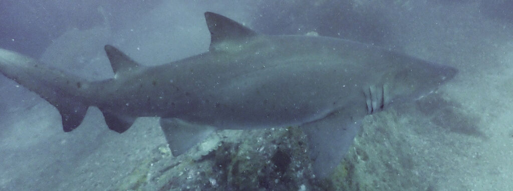 84804466-4284-48c0-b312-8518a84a5e4b