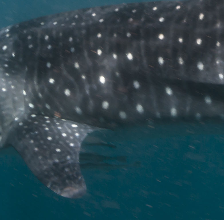 727cceb6-d767-400b-abc1-9f208a8d96b4