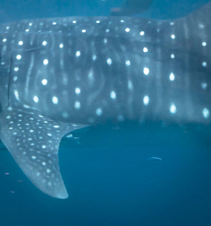 8e49a722-78a0-4201-9c0b-985cddd8f6f3