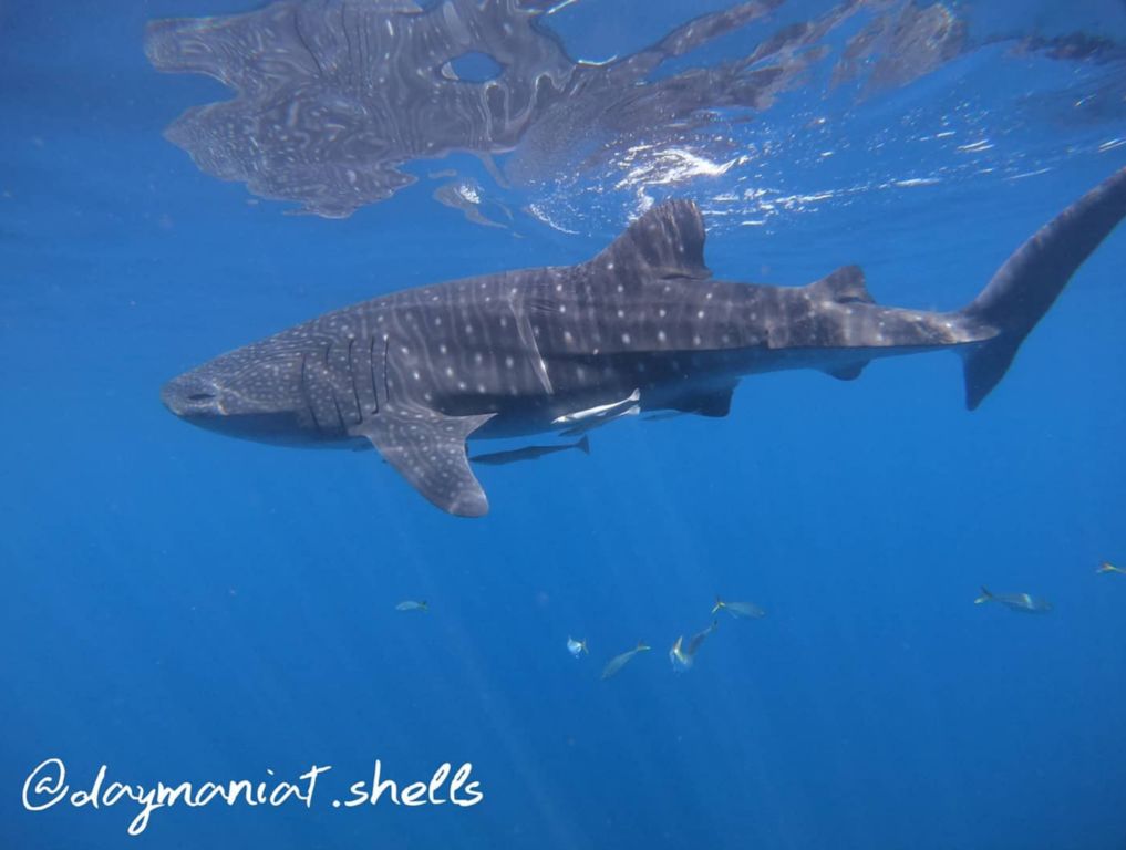 4279dcc8-5e32-4a28-87ba-68764ae092e2