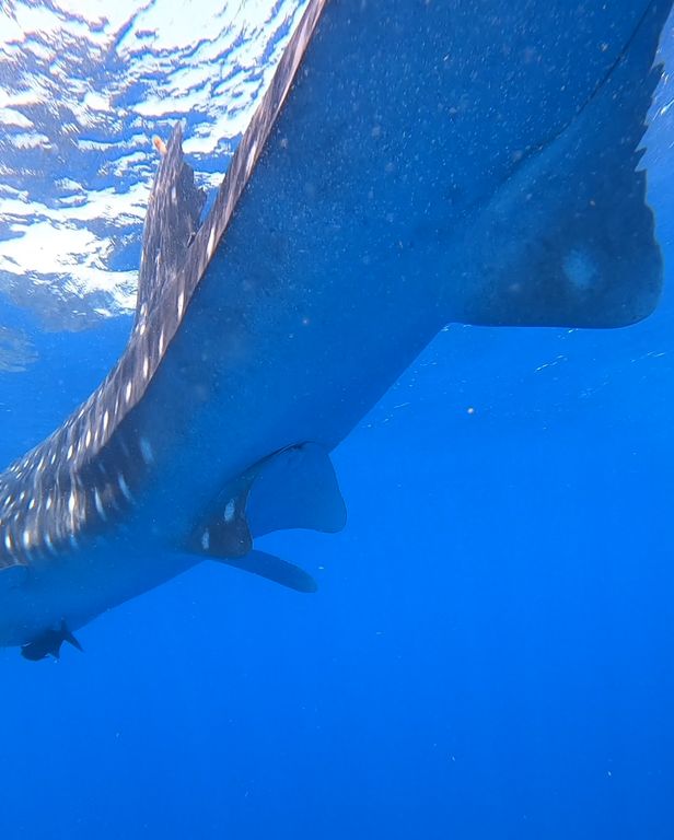 02a12010-8d8e-45db-9df3-70671ead74f5