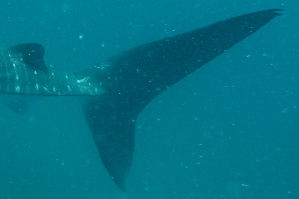 a81ba7bf-3c66-47df-aaa6-e0f39712c1da