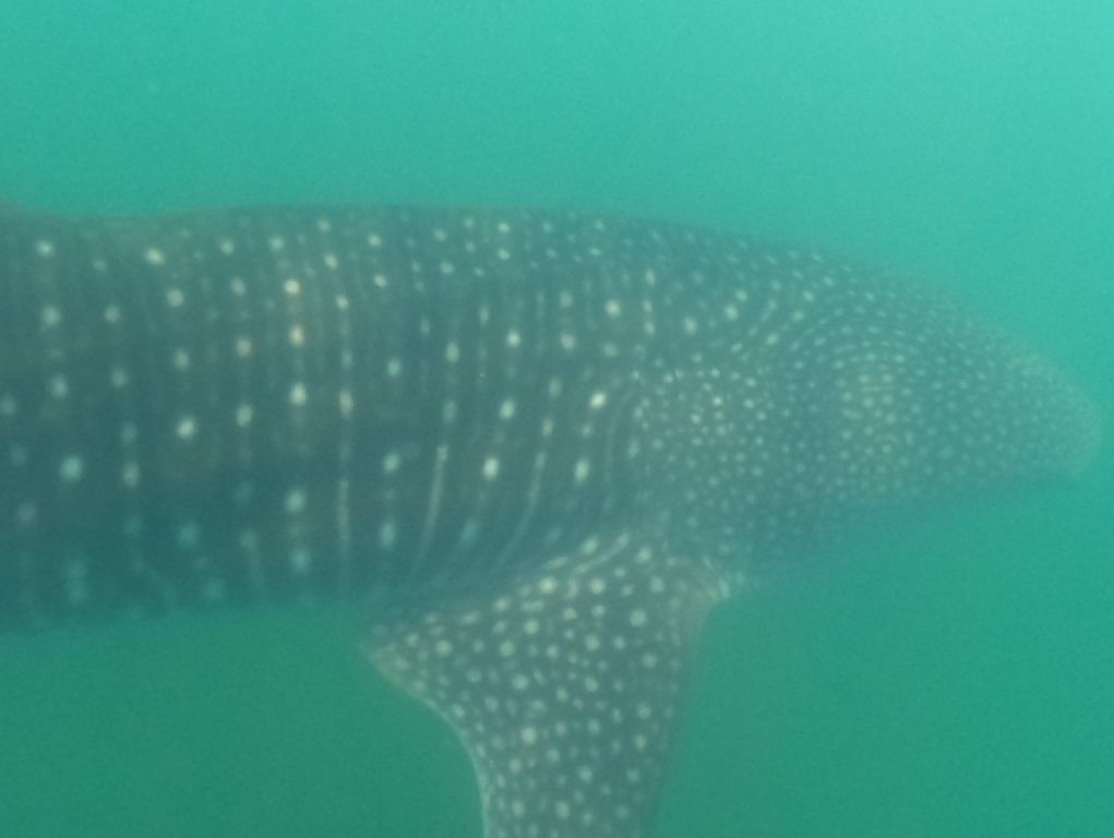 66218fc4-9e58-4ed8-af80-ead87d28e6d6