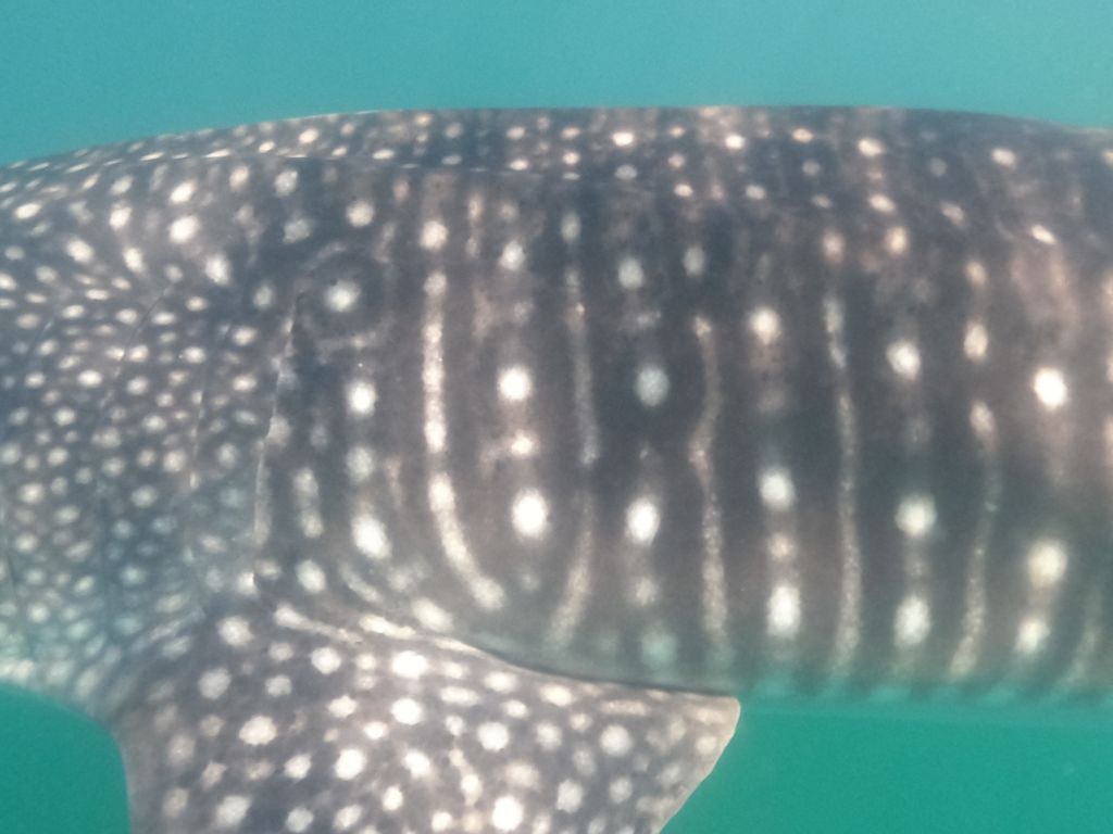 66218fc4-9e58-4ed8-af80-ead87d28e6d6