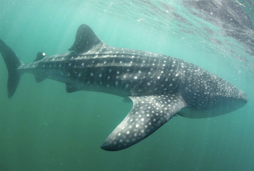 609548aa-ded9-4e81-8628-ef8e3a076fe3