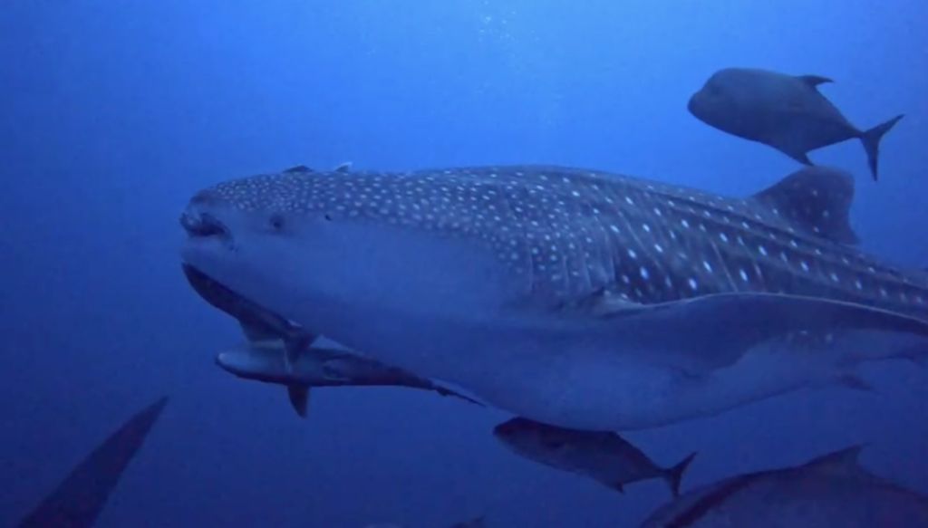 4081bd7d-5a82-46c1-83c9-7456e1a219d8