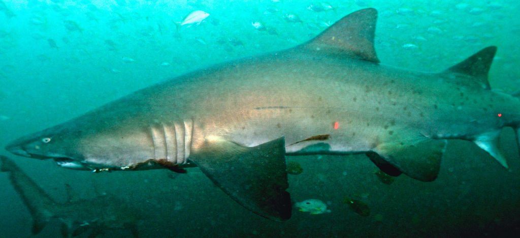 cb68a219-5a24-4b3a-908f-ebb2e1336dae