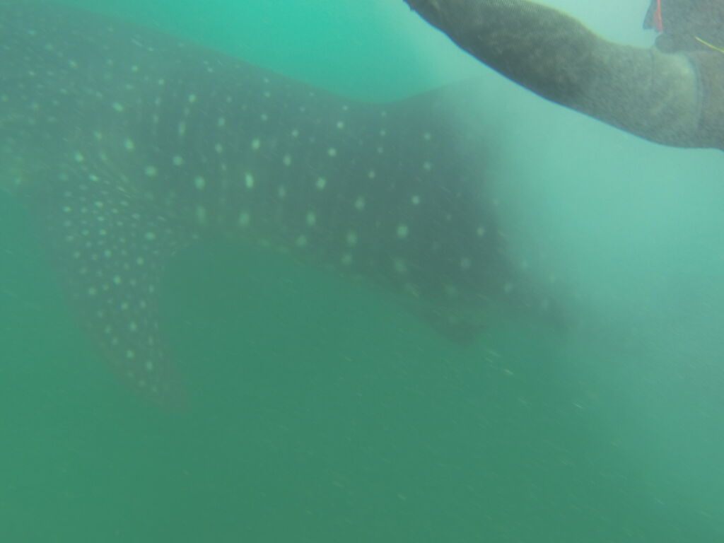 106bc7d1-e52c-4ab9-ac22-bbea1dbc1dd2