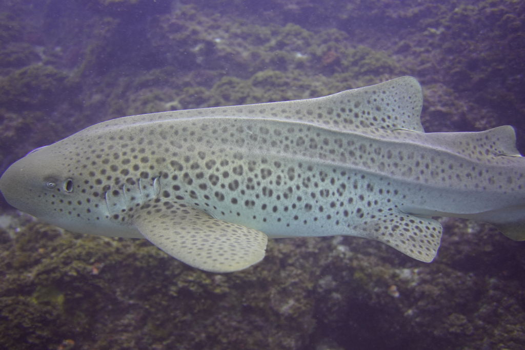 d30cac97-a151-4627-a645-c639673e6595