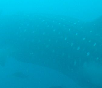 722c4f01-afd7-41af-b6dc-4c597e62b110