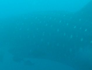 722c4f01-afd7-41af-b6dc-4c597e62b110