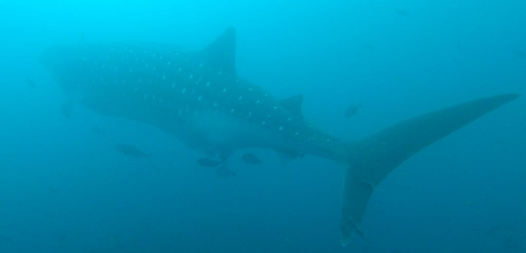 722c4f01-afd7-41af-b6dc-4c597e62b110