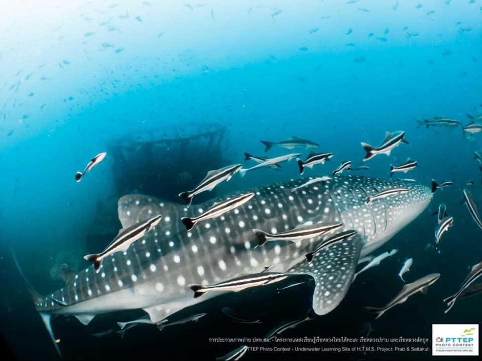 9979090a-41d1-46df-b252-14d4afc3a40b