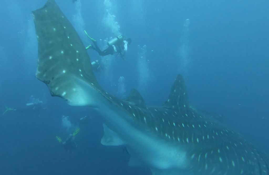 b573333d-a66a-45c6-b25a-66f2369a1a80