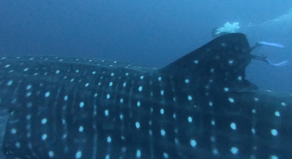 b573333d-a66a-45c6-b25a-66f2369a1a80