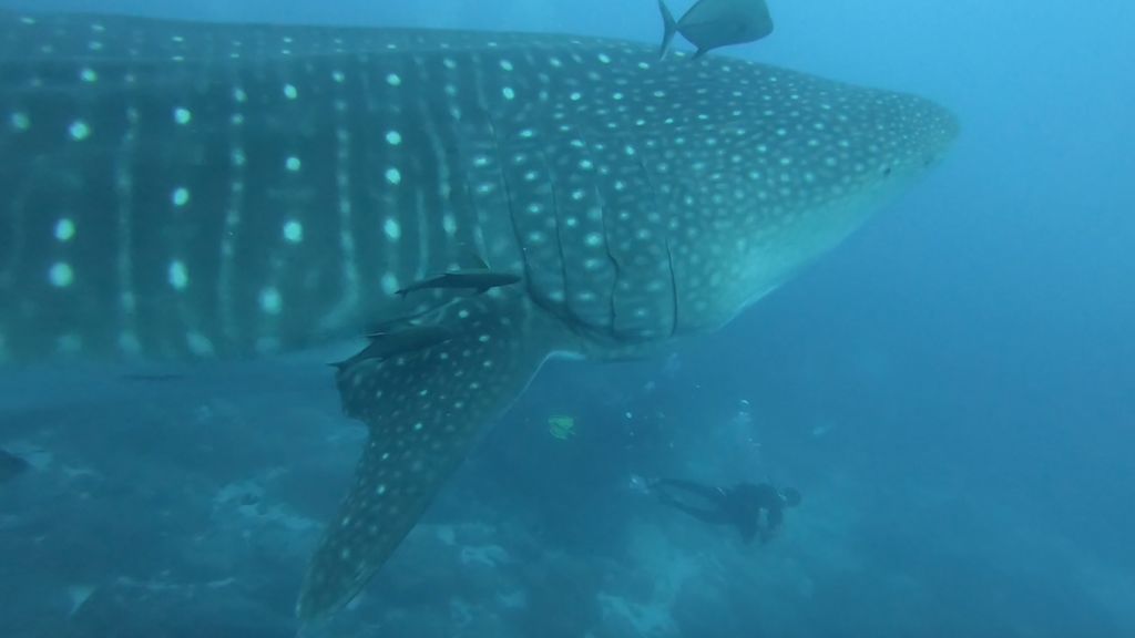 b573333d-a66a-45c6-b25a-66f2369a1a80